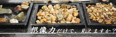 テクノ・コブルサーベィ