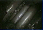 ts
